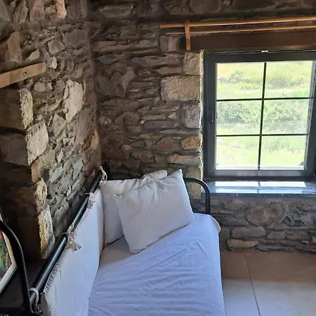 Tarihi Koyde Tas Ev *